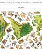 Promotional Print Stickere perete Harta lumii cu continente si animale pentru copii autocolant textil premium repozitionabil