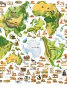 Promotional Print Stickere perete Harta lumii cu continente si animale pentru copii autocolant textil premium repozitionabil