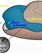 Pufrelax Fotoliu king size xl dusty blue umplut cu fulgi de burete memory mix
