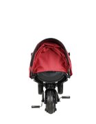 QPlay Tricicleta pentru copii Nova Niello Rosu ultrapliabila cu cadru din aluminiu sezut reversibil 360 spatar reglabil suport pentru picioare roti din cauciuc Eva de la 10 luni pana la 25 kg
