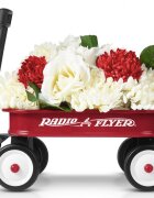 RADIO FLYER Jucarie carucior Little Red Wagon