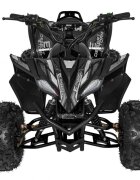Ramiz ATV electric pentru copii Desert Storm Black Motor 800W baterie 48V20Ah panoul de bord iluminat cu afisaj viteza kilometraj si incarcare pornire la cheie cu marsarier cutie de viteze automata pana la 40 kmh