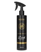 Revers Spray de camera Dark Night 250 ml