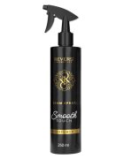 Revers Spray de camera Smooth Touch 250 ml