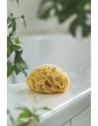 Rotho-Baby Design Burete natural pentru bebelus Rotho babydesign