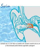 Sanohra Dopuri de urechi pentru inot Swim 1 an + albastru