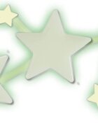 SES Creative Autocolante semne zodiacale fotoluminescent