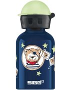 SIGG Bidon din aluminiu Little Pirates 0.3L