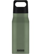 SIGG Bidon din otel inoxidabil Explorer Leaf Green 0.75L