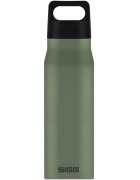 SIGG Bidon din otel inoxidabil Explorer Leaf Green 1L