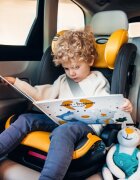 Skiddou Scaun auto isofix Tby 15-36 kg Normandic Dream Gri