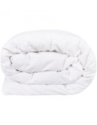 Somnart Pilota cu pene Naturo tesatura bumbac 180 x 200 cm