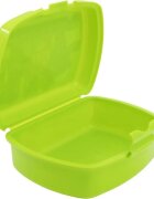 Stor Cutie pentru sandwich Urban Minecraft