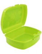 Stor Cutie pentru sandwich Urban Minecraft