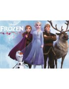 SunCity Napron Frozen 2