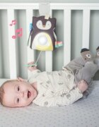 TAF TOYS Jucarie multifunctionala cu inel gingival Pinguinul Prince