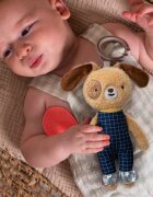 TAF TOYS Jucarie zornaitoare si de activitate Catelusul Daniel
