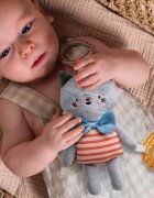TAF TOYS Jucarie zornaitoare si de activitate Pisicuta Clara