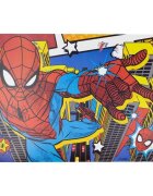TataWay Napron Spiderman 43x28.1 cm CZ11285