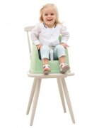 Thermobaby Scaun inalt evolutiv Youpla Celadon