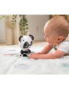 TINY LOVE Jucarie Carucior Elizabeth The Panda