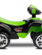 Toyz by Caretero Atv pentru copii fara pedale Toyz Mini Raptor Green cu melodii lumini si spatiu de depozitare sub scaun Inaltime scaun 24 cm de la 18 luni pana la greutatea maxima de 25 kg