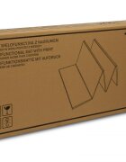 Toyz by Caretero Covoras pliabil multifunctional Toyz pentru copii cu 2 fetedin spuma XPE fara substante nocive antiderapant izolator termic 200x180x1 cm geanta transport inclusa Animals