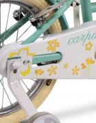 VELORS Bicicleta pentru copii 4-6 ani Carpat C16178A Turcoaz 16 inch