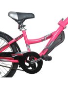 WeeRide Bicicleta Co-Pilot Roz WR06PK