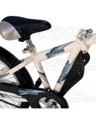 WeeRide Bicicleta Co-Pilot WR06