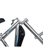 WeeRide Bicicleta Co-Pilot WR06