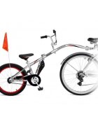 WeeRide Bicicleta Co-Pilot WR06