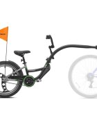 WeeRide Bicicleta Link Pro Aluminiu Negru