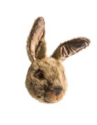 Wild & Soft Decoratiune de perete Wild and Soft cap de iepure Lewis