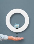 Zazu Kids Lampa de Veghe pentru Perete Fay Rex si Otis