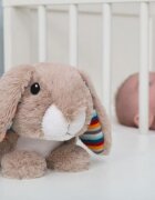 Zazu Kids Proiector sau lampa de veghe muzicala Iepurasul Ruby