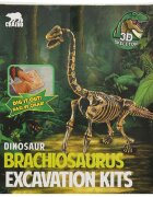3D Skeleton Kit arheologic Sapa si descopera un Brachiosaurus