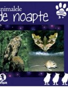 ART Animalele de noapte