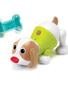 B Kids Catelus Shake n Dance Puppy Green
