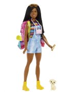 Barbie Papusa Brooklyn La Camping