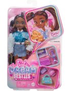 Barbie Papusa cu accesorii Dream Besties Brooklyn HYC22