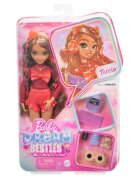 Barbie Papusa cu accesorii Dream Besties Teresa HYC23