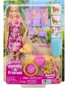 Barbie Papusa cu catelus si accesorii Malibu Family&Friends JJB46