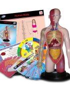 Eastcolight Set educativ - Corpul uman