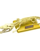 Eastcolight Set educativ Schelet de crocodil