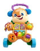 FISHER PRICE Antemergator cu activitati Catelusul Lb Romana GXR70