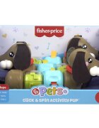 FISHER PRICE Catelus cu activitati senzoriale Click & Spin HTW91