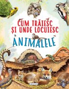 GIRASOL Cum traiesc si unde locuiesc animalele
