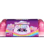 Hatchimals Set 5 figurine surpriza in cofrag Rainbow Splash 6069777