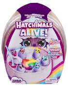 Hatchimals Set 6 figurine surpriza Rainbow 6070168